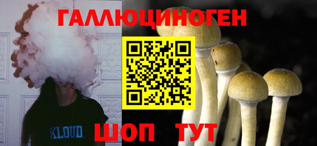 Псилоцибиновые грибы Psilocybe Верхний Уфалей