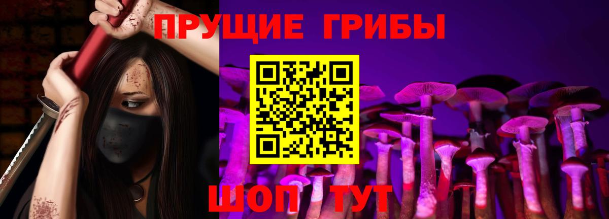 Верхний Уфалей  Псилоцибиновые грибы мицелий  Псилоцибиновые грибы мицелий  Вход с VPN 
